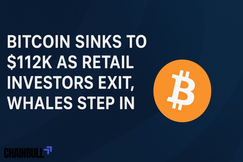 News banner on Bitcoin Sinks to $112K as Retail Investors Exit, Whales Step In