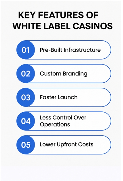 Image showing key features of White Label Casinos