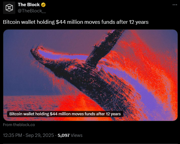 this image is describe bitcoin wallet holding